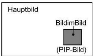 FUJITSU SIEMENS Myrica VQ401 - GebrauchderBild-im-BildFunktion - 1