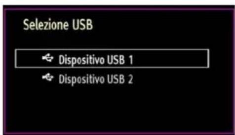 Finlux 37FLHD847 - Riproduzione di fi le multimediali servendosi di Browser Multimediale - 2
