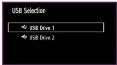 Finlux 32FLHD847 - Media Playback Using Media Browser - 2