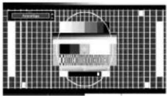 X1000 20000