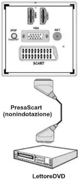 SPXF C252OUT VGA ANT SCART PresaScart (nonindotazione) LettoreDVD