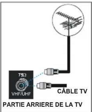 Finlux 26FLD760 - Branchements à la prise d'entrée de l'antenne - 1