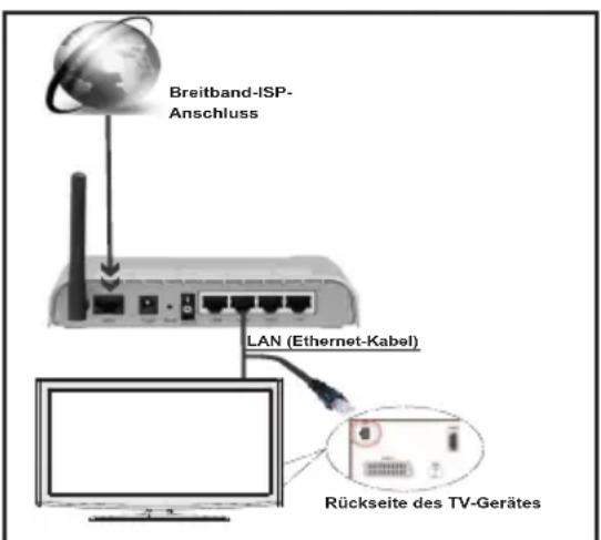 DURABASE DL48F265X3C - Anschluss an ein kabelgebundenes Netzwerk - 1