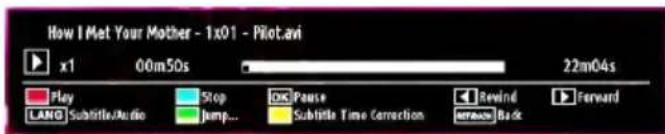 How I Met Your Mother - 1x01 - Pilot.avi x1 00m50s 22m04s Play Stop Disc Pause Revind Forward LANG SubtitleAudio Jump... Subtitle Time Correction Back