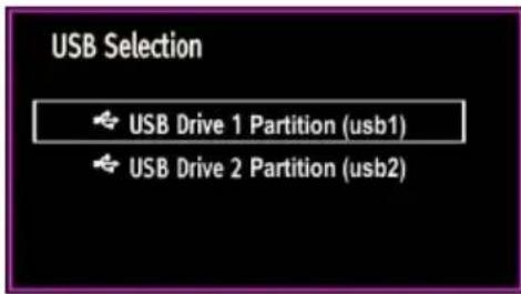 USB Selection USB Drive 1 Partition (usb1) USB Drive 2 Partition (usb2)
