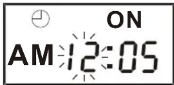 SALORA IDS3047BLWH - TIMER SETTING - 1
