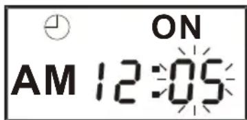 SALORA IDS3047BLWH - TIMER SETTING - 2