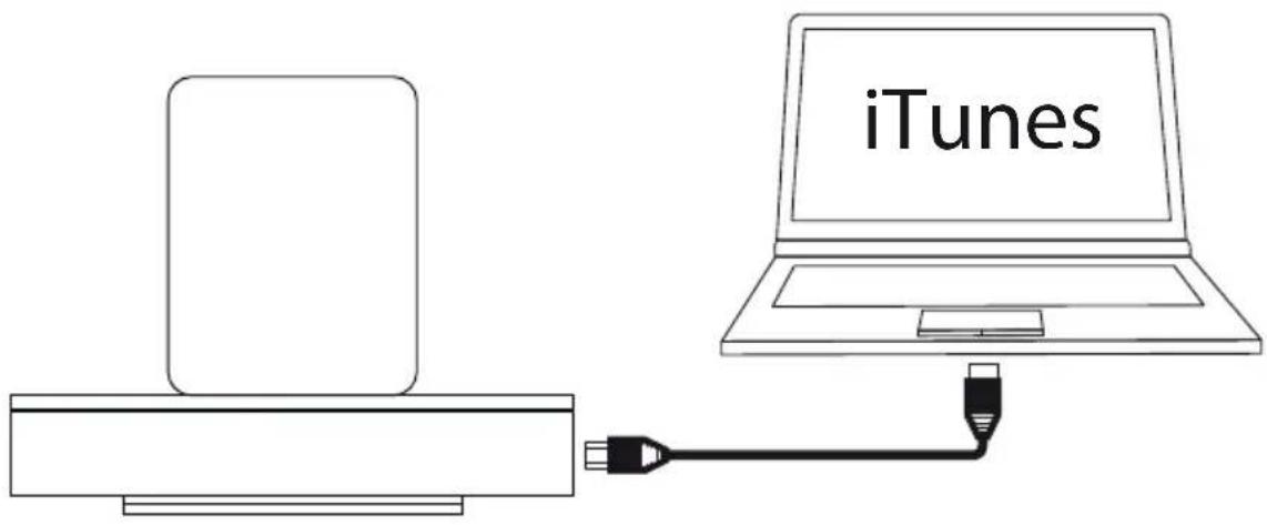 LOEWE SoundPort Compact - SoundPort - iTunes Sync - 1