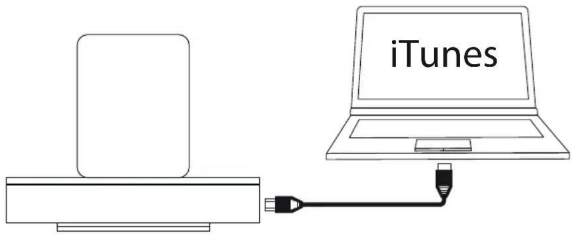 LOEWE SoundPort Compact - SoundPort - iTunes Sync - 1