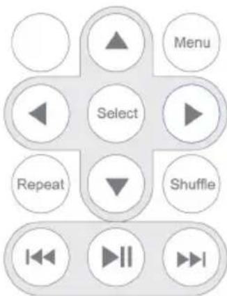 ALBRECHT DR 881 - iPod - 2