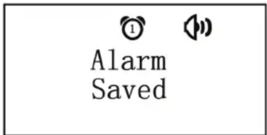 ALBRECHT DR 881 - Alarme - 2