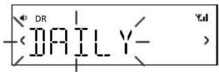 PURE Contour D1 - Time - 1