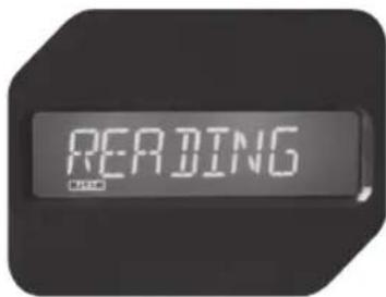 READING