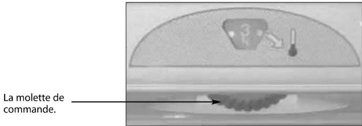 Ariston Thermo MS13M - L'indicateur de température - 2