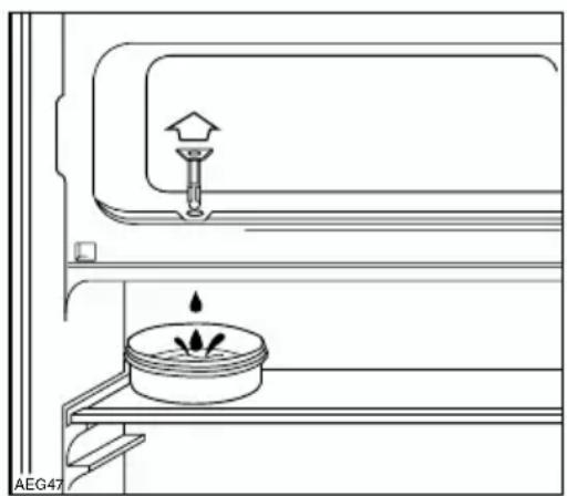 AEG-ELECTROLUX Santo U 960404 I - Congelador - 1