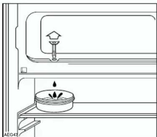 AEG-ELECTROLUX Santo U 960405I - Congelador - 1