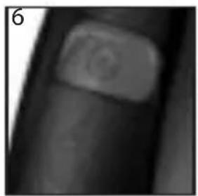 REMINGTON PowerSeries Plus PR1350 - WARNING - TO REDUCE THE RISK OF BURNS, ELECTROCUTION, FIRE OR INJURY TO PERSONS: - 3