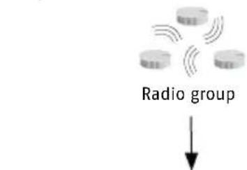 ABUS RWM450 - Forwarding Alarm Outside Radio Range - 8