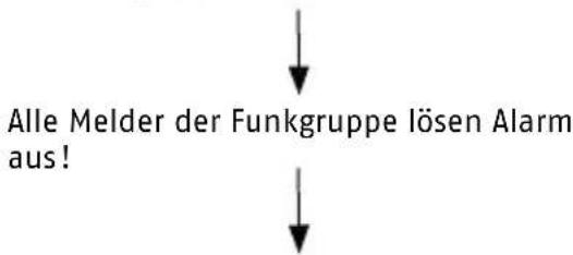 ABUS RWM450 - Alarmweiterleitung außerhalb der Funkreichweite - 7
