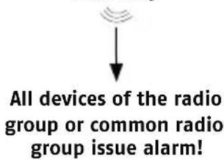 ABUS RWM450 - Forwarding Alarm Outside Radio Range - 6