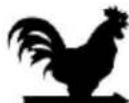 Casselin CFCV1 - REMARQUE! - 1