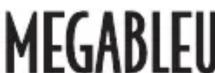 MEGABLEU Badaboule - Le gagnant : - 4