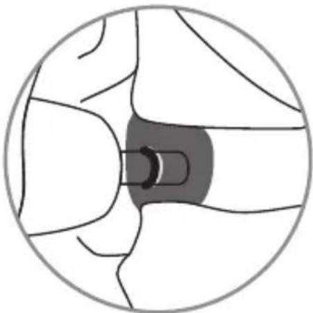 SHURE SE535LTD - Inserción de los auriculares - 2