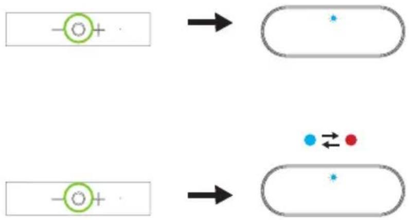 Xqisit XQ S10 - Mode d'emploi rapide - 1