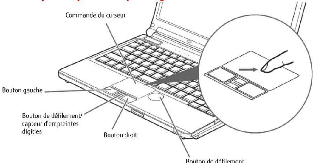 FUJITSU LifeBook S762 - Pavé tactile Touchpad dispositif de pointage/bouton de défilament - 1