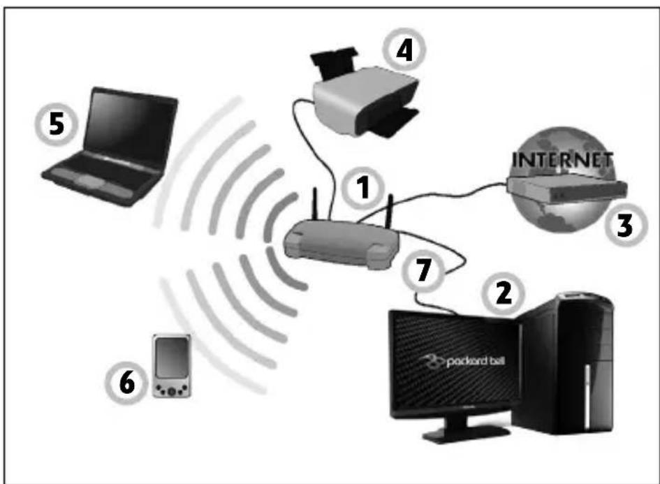 PACKARD BELL EasyNote LV - Overzicht van een network - 1