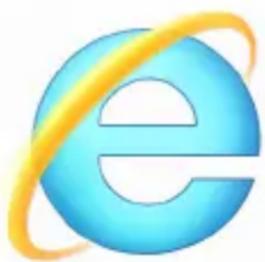PACKARD BELL EasyNote LV - Surf the Net! - 1