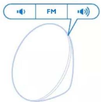 FM