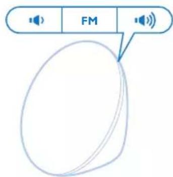 FM