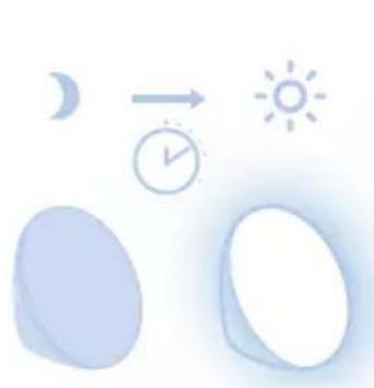 PHILIPS Wakeup Light HF3521 - Nattbelysning - 6