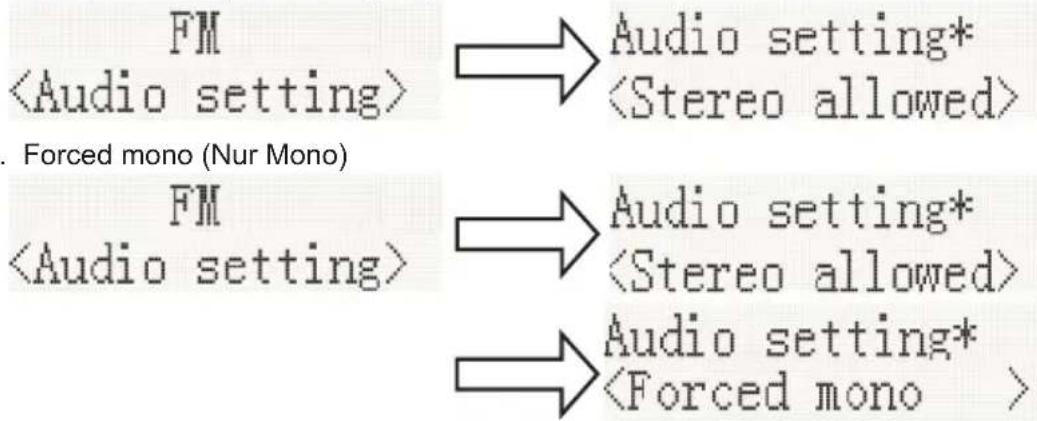 THOMSON DS120CD - Audio-Einstellung - 1