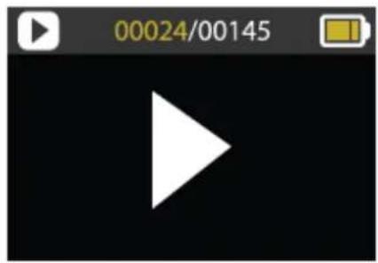 00024/00145