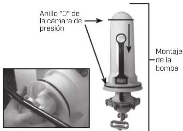 Chapin 63900 - Cómo DESARMAR Y REPARAR O CAMBIAR EL MONTAJE DE LA BOMBA - 3