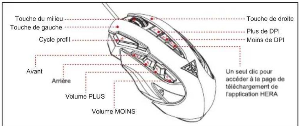 Gamdias Zeus Laser - Paramètres par défaut de ZEUS - 1