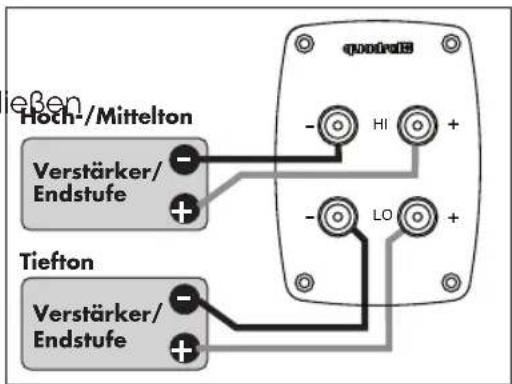 Aurum VIII - Schraubklemmen - 4