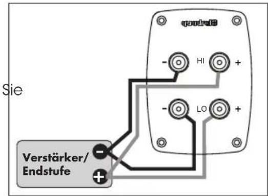 Aurum VIII - Schraubklemmen - 3