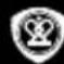 PRESTIGIO RoadRunner 315 - Note: - 1