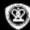 PRESTIGIO RoadRunner 315 - Pexm Bb3npo3BekdaHe - 1