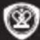 PRESTIGIO Roadrunner 310i - 1