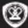 PRESTIGIO Roadrunner 310i - Nota: - 1