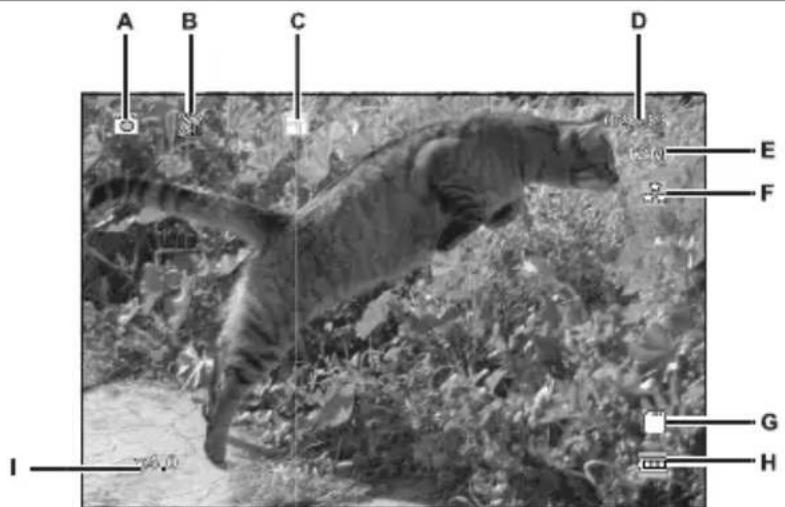 TARGA CR 1.0A1 - Taking photos - 1