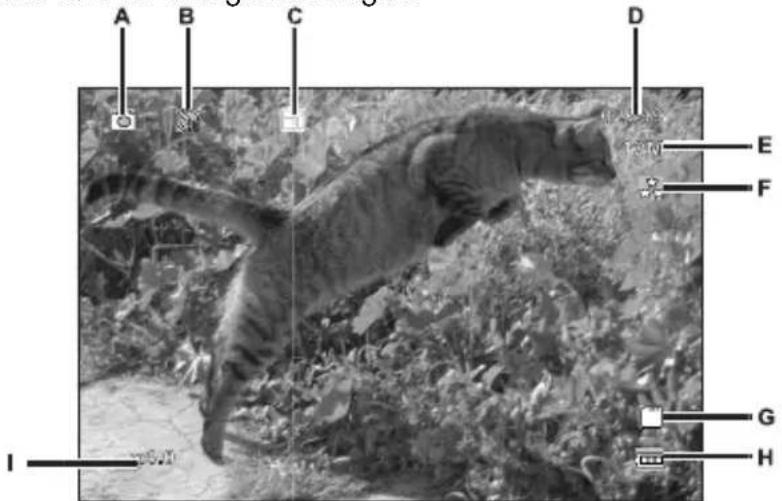 TARGA CR 1.0A1 - Foto's make - 1