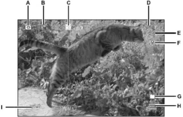 TARGA CR 1.0A1 - Prises de vues - 1