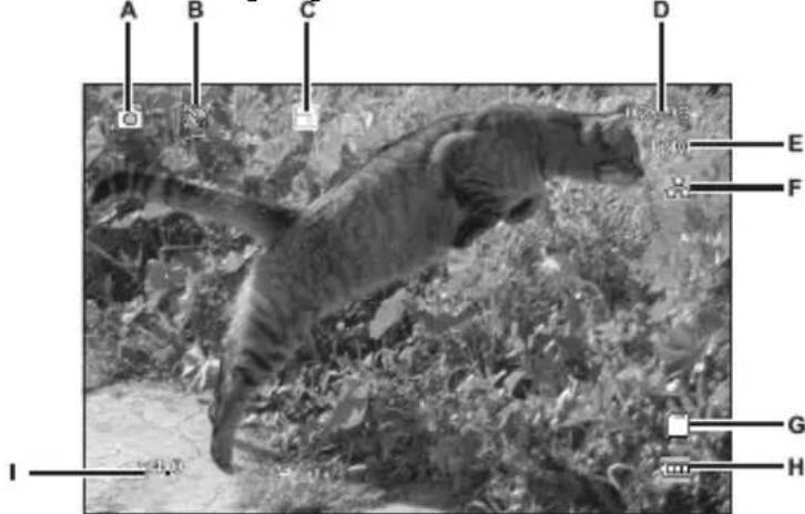 TARGA CR 1.0A1 - Fotos aufnehmen - 1