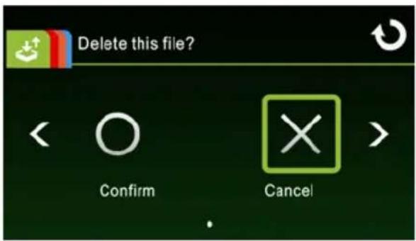 Screenshot of a software dialog box with 'Delete this file?' and action buttons labeled 'Confirm' and 'Cancel'