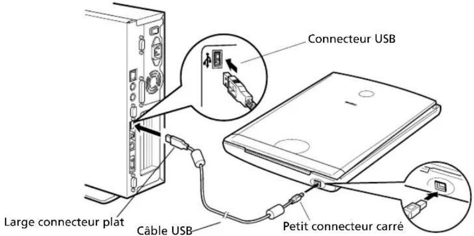 CANON CanoScan LiDE 35 - Connexion du scanner - 2